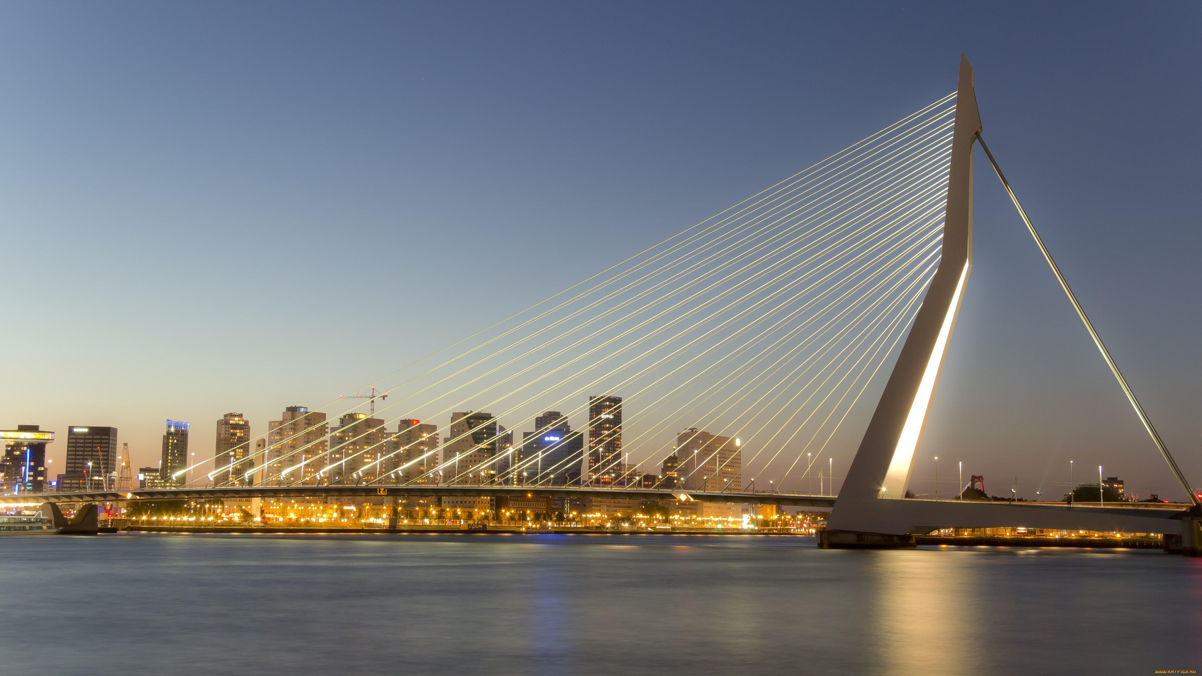 the erasmus bridge in rotterdam,  netherlands, , - , , , , , 